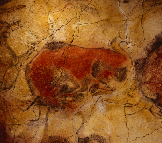 Paleolithic rock art in the Altamira cave (northern Spain, World Heritage site), dating from 11,000 to 35,000 BC. Altamira National Museum and Research Centre, Spanish Ministry of Culture and Sport. Photographer P Saura