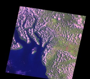 SPOT4_HRVIR_XS_20130406_N1_TUILE_JCameroon_vert