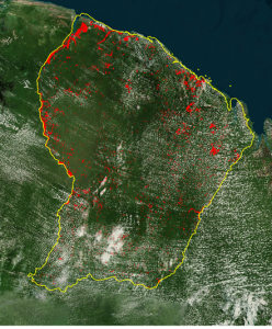 DeforestationS1_carte